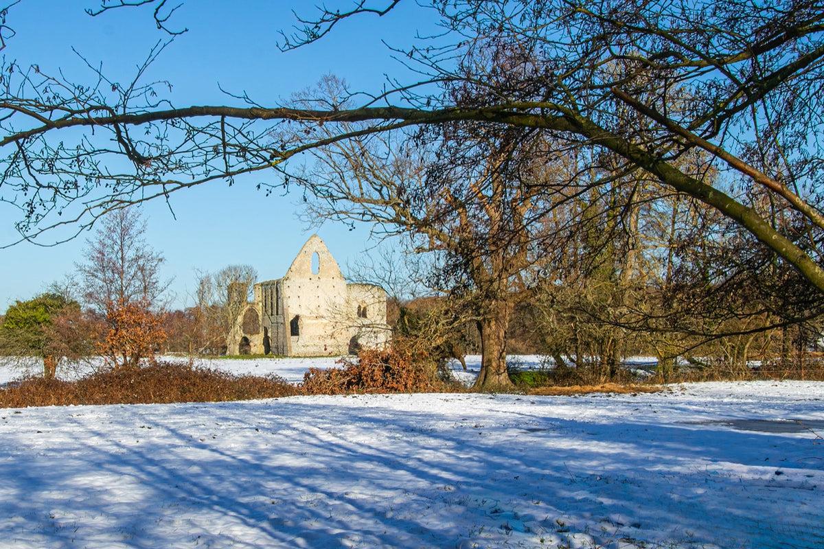 A scenic winter landscape featuring the ruins of a stone abbey or church in the distance, surrounded by snow-covered ground, bare trees, and a clear blue sky. Branches in the foreground partially frame the scene.