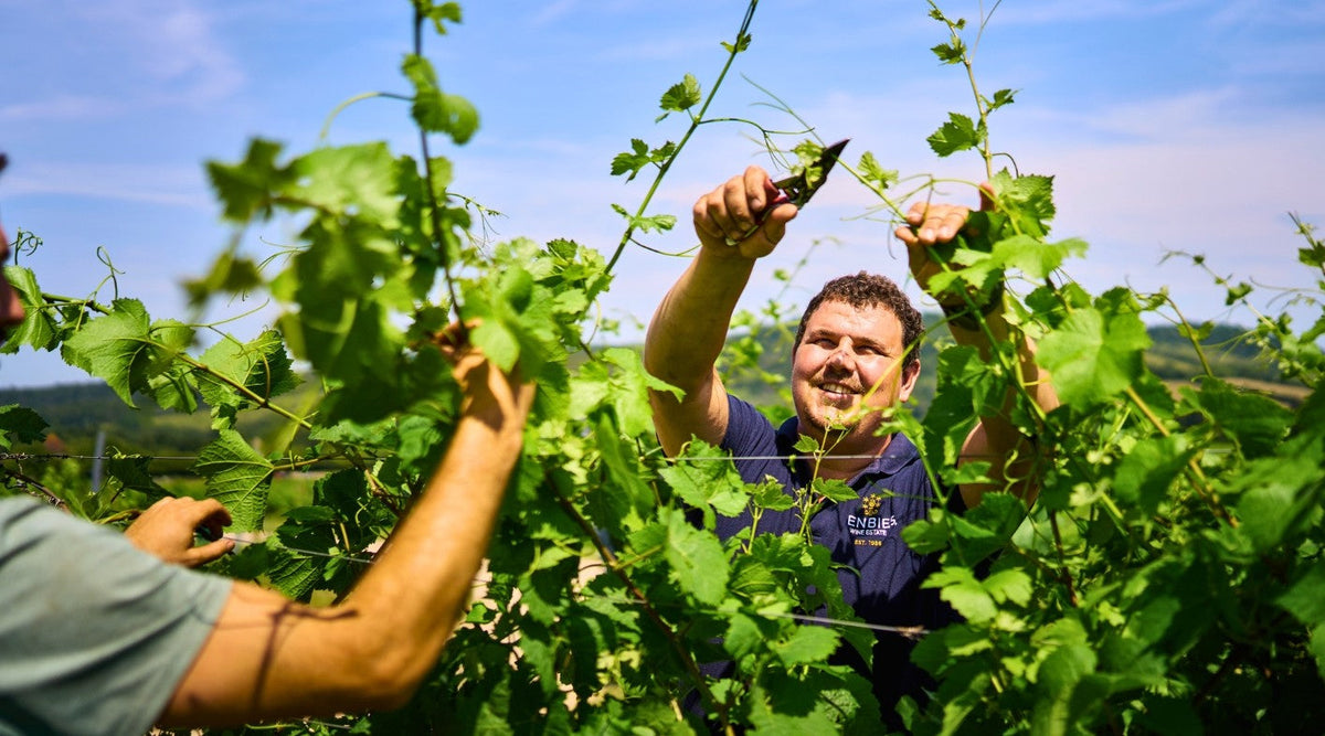 Denbies Takes Home Gatwick Diamond Award