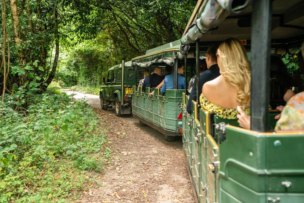 Explore Tours and Tastings