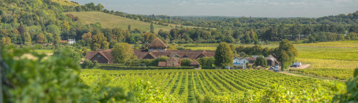Denbies Wine Estate