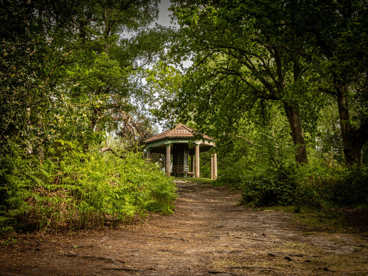 A rustic wooden gazebo with a tiled roof sits at the end of a dirt path, surrounded by dense green trees and foliage in a forest setting.