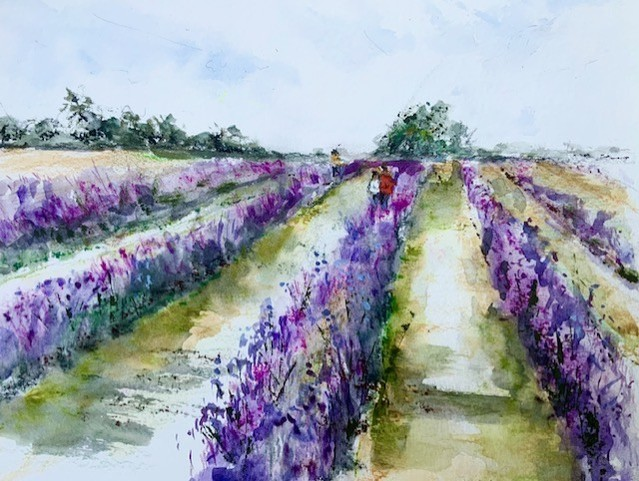Watercolor painting of a lavender field with rows of purple flowers lining a central path under a pale blue sky.