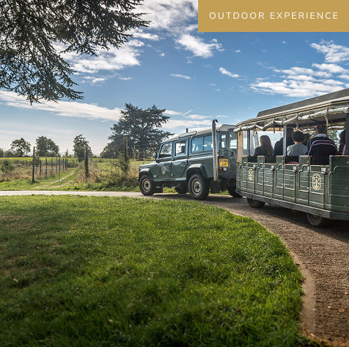 Explore Tours and Tastings