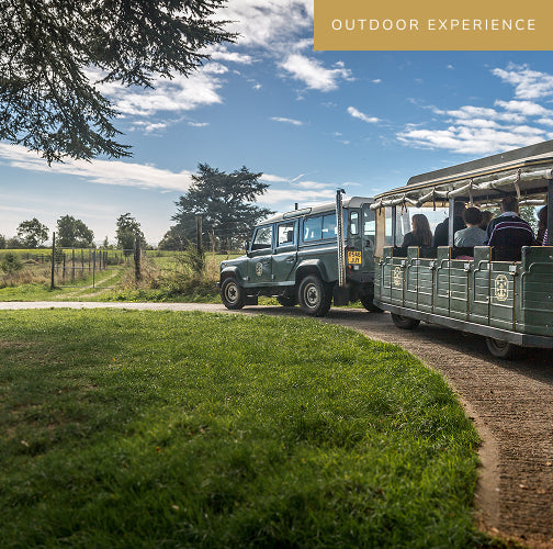 Explore Tours and Tastings