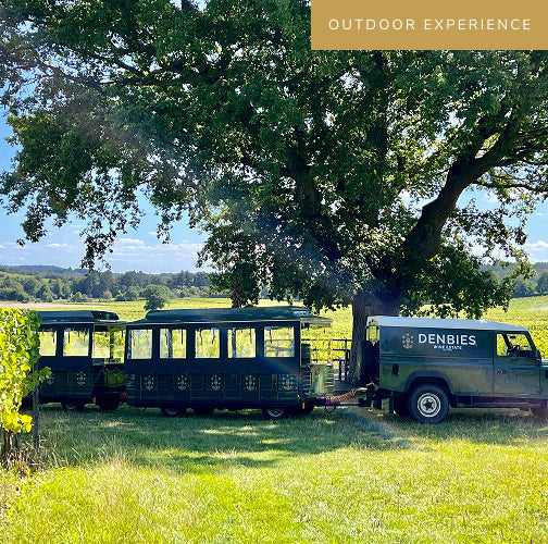 Explore Tours and Tastings